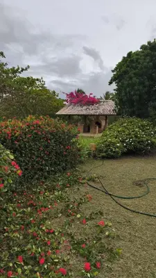 A planta de Agreste casa de praia e fazenda