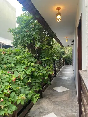 Um jardim no exterior de Pousada Munguba