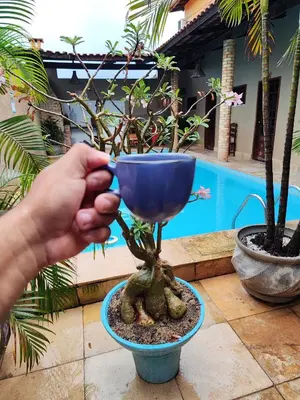 A planta de Pousada Pouso Da Praia