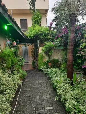 Um jardim no exterior de Pousada Casa da Lucinha