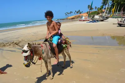 Os clientes hospedados em Brasil-Kite