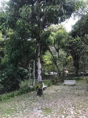 Paisagem natural perto das estalagens