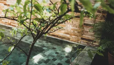 A piscina em ou perto de Tropical House - Villa com piscina perto do mar