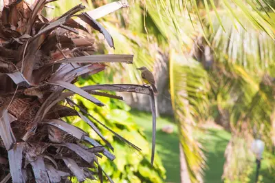Um jardim no exterior de Blue Beach Temporada