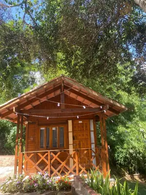 Um jardim no exterior de Monte Suiço - Chalés para locação
