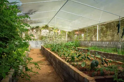 Um jardim no exterior de Saíra Recanto de Serra