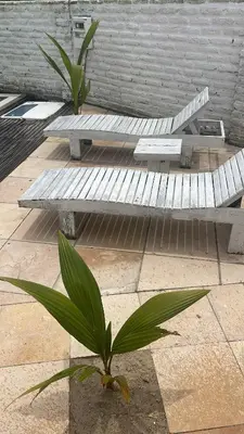 A planta de Casa Free Wind Jeri