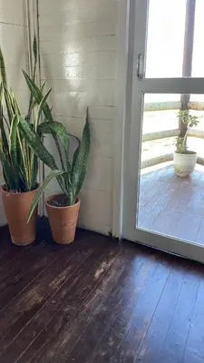 A planta de Casa Free Wind Jeri