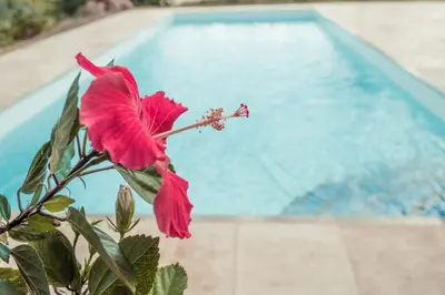 A piscina em ou perto de Refugios Parajuru - Villa Alegre