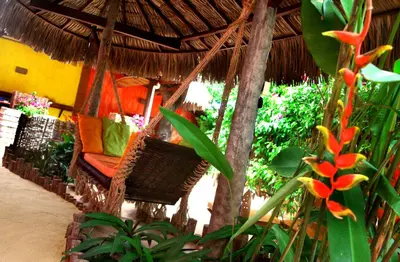 Um jardim no exterior de Ibiscus Pousada sem café
