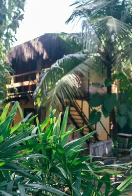 Um jardim no exterior de Kitecabana Pousada