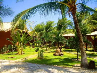 Um jardim no exterior de Hotel Pousada Beleza das Ondas