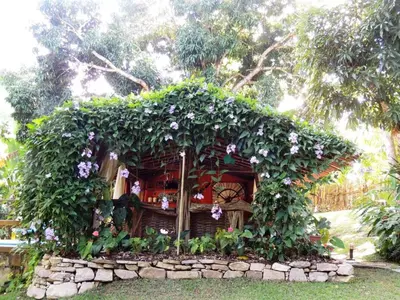 Um jardim no exterior de Sitio Alto da Montanha - você em paz com a natureza