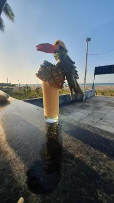 A planta de Pousada e Restaurante Sombra dos Coqueiros