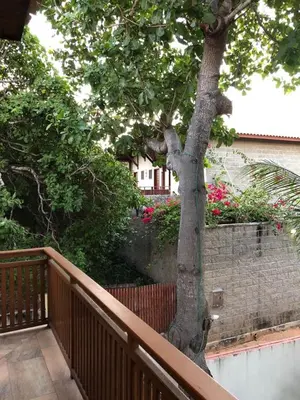 Um jardim no exterior de Apartamento no centro da vila de Jericoacoara