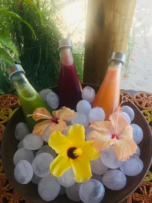 Bebidas em Pousada Casa das Rendas
