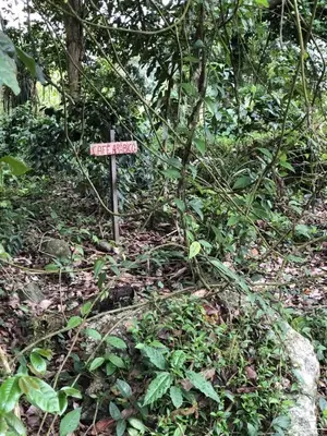Paisagem natural perto do bed and breakfast