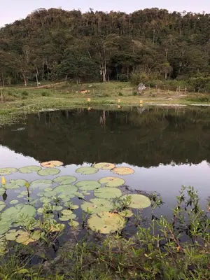 Paisagem natural perto do bed and breakfast