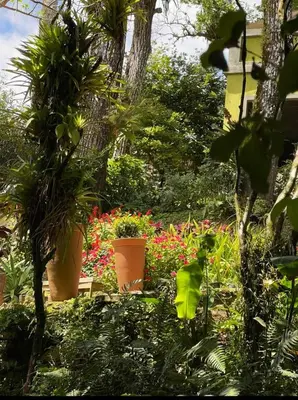 Um jardim no exterior de Cedros Pousada