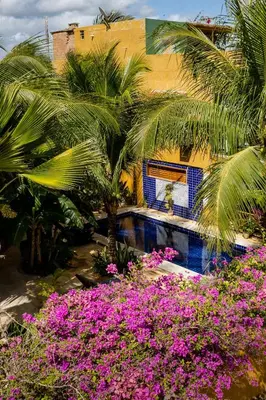 Um jardim no exterior de Pousada Dharma