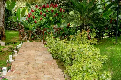 Um jardim no exterior de HOTEL CANTINHO DAS FLORES