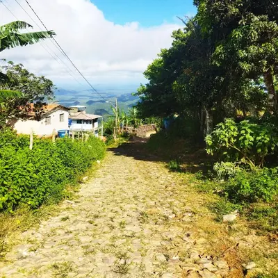 A planta de Casa da Vó