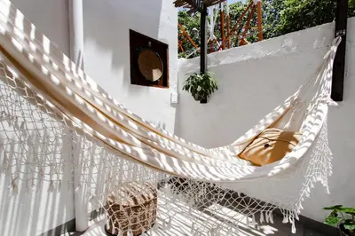 A planta de Jeri Pousada