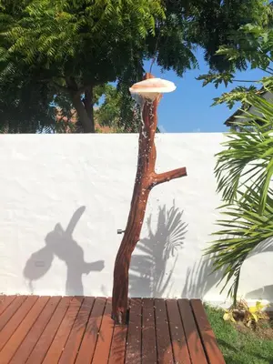 Um jardim no exterior de Villa Corsica
