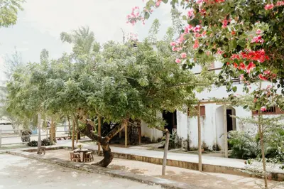 Um jardim no exterior de Pousada Villa Pontinha