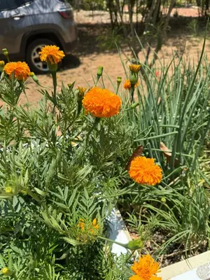 Um jardim no exterior de CASA DE LA ABUELA