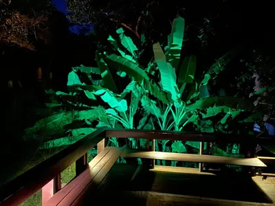 Um jardim no exterior de CHALÉ CHÃO das ESTRELAS
