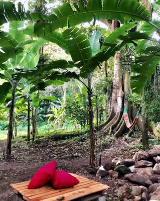 Um jardim no exterior de Chalé Suíço Nupcial - Chalés Belo Monte - Sítio Belo Monte