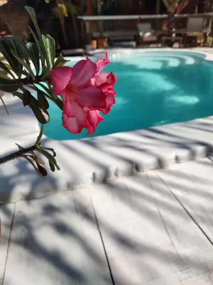 A piscina em ou perto de Mangará Pousada