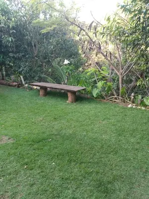 Um jardim no exterior de Paracuru Kite Village