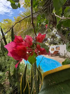 Um jardim no exterior de Pousada JeriMagia