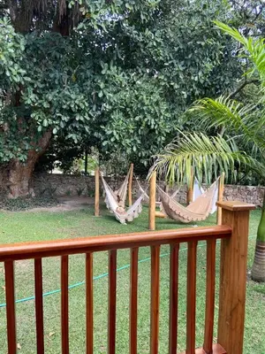 Um jardim no exterior de Casa Amarela