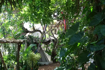 Um jardim no exterior de Treehouse Kitecamp Jericoacoara