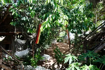 Um jardim no exterior de Treehouse Kitecamp Jericoacoara