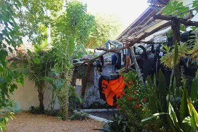 Um jardim no exterior de Treehouse Kitecamp Jericoacoara