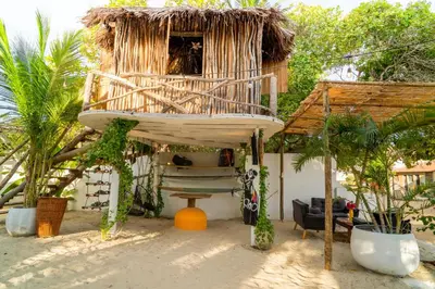 Um jardim no exterior de Treehouse Kitecamp Jericoacoara