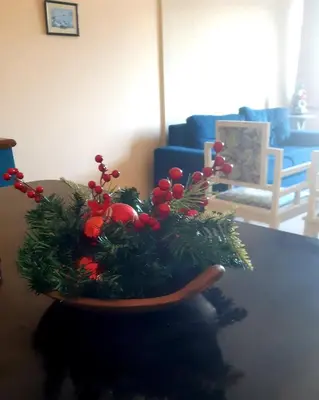 Uma área de estar em Apartamento Inteiro a 100 metros da Praia