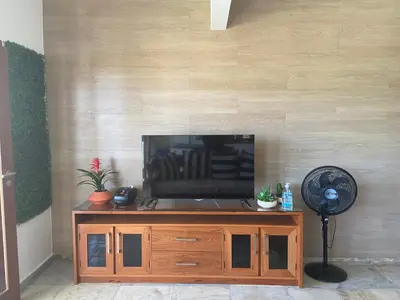 A planta de Paraíso Flecheiras
