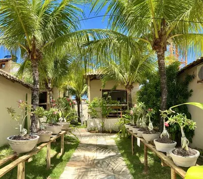 Um jardim no exterior de Pousada Borboleta