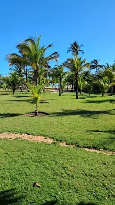 Um jardim no exterior de KANAHA BEACH VILLA