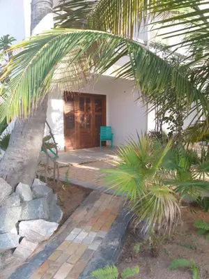 Um jardim no exterior de Vila Saguaro