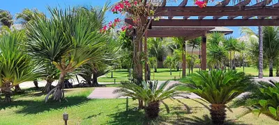 A planta de PARAÍSO VG SUN CUMBUCO - PARA 4 PESSOAS - COM HIDRO, SAUNA, PISCINA, COZINHA COMPLETA, PARQUINHO E WI-Fl