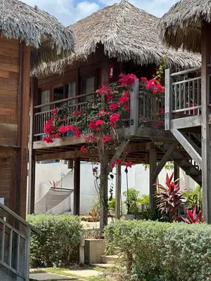 Um jardim no exterior de Pousada Casa Caju Bangalows