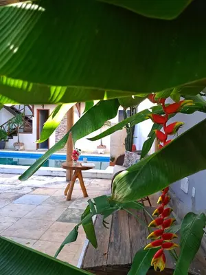 Um jardim no exterior de Pousada Canaã Icaraizinho