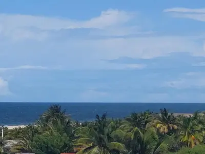 Paisagem natural perto da casa de hóspedes