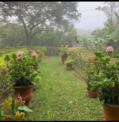 Um jardim no exterior de Sítio São Gerardo - Aconchegante casa no campo.